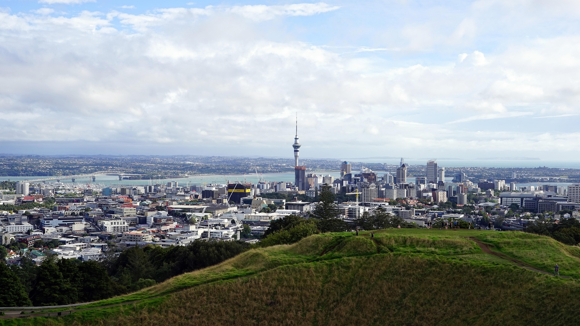 South Auckland candidate site