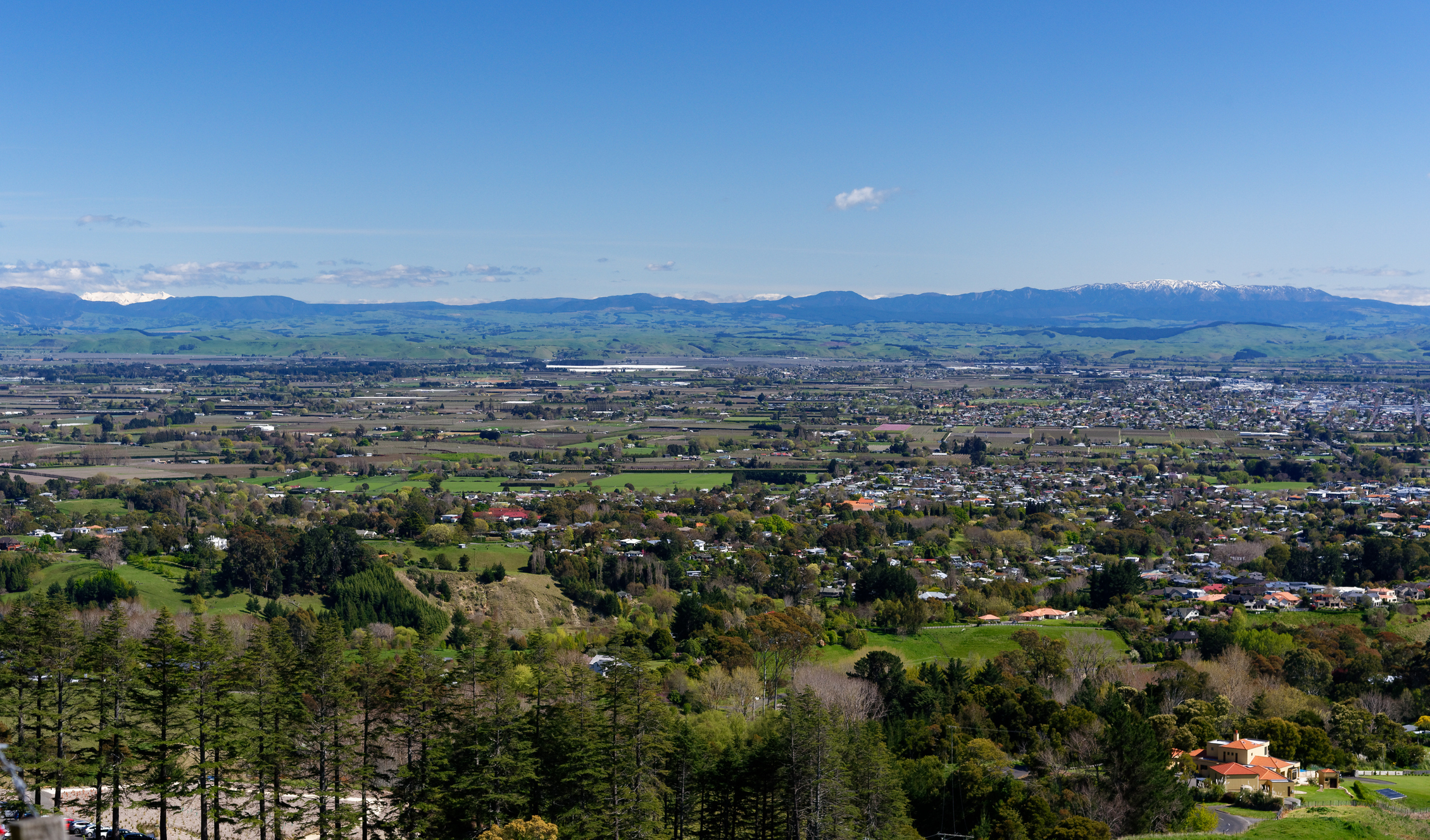 Hawke's Bay regional hub