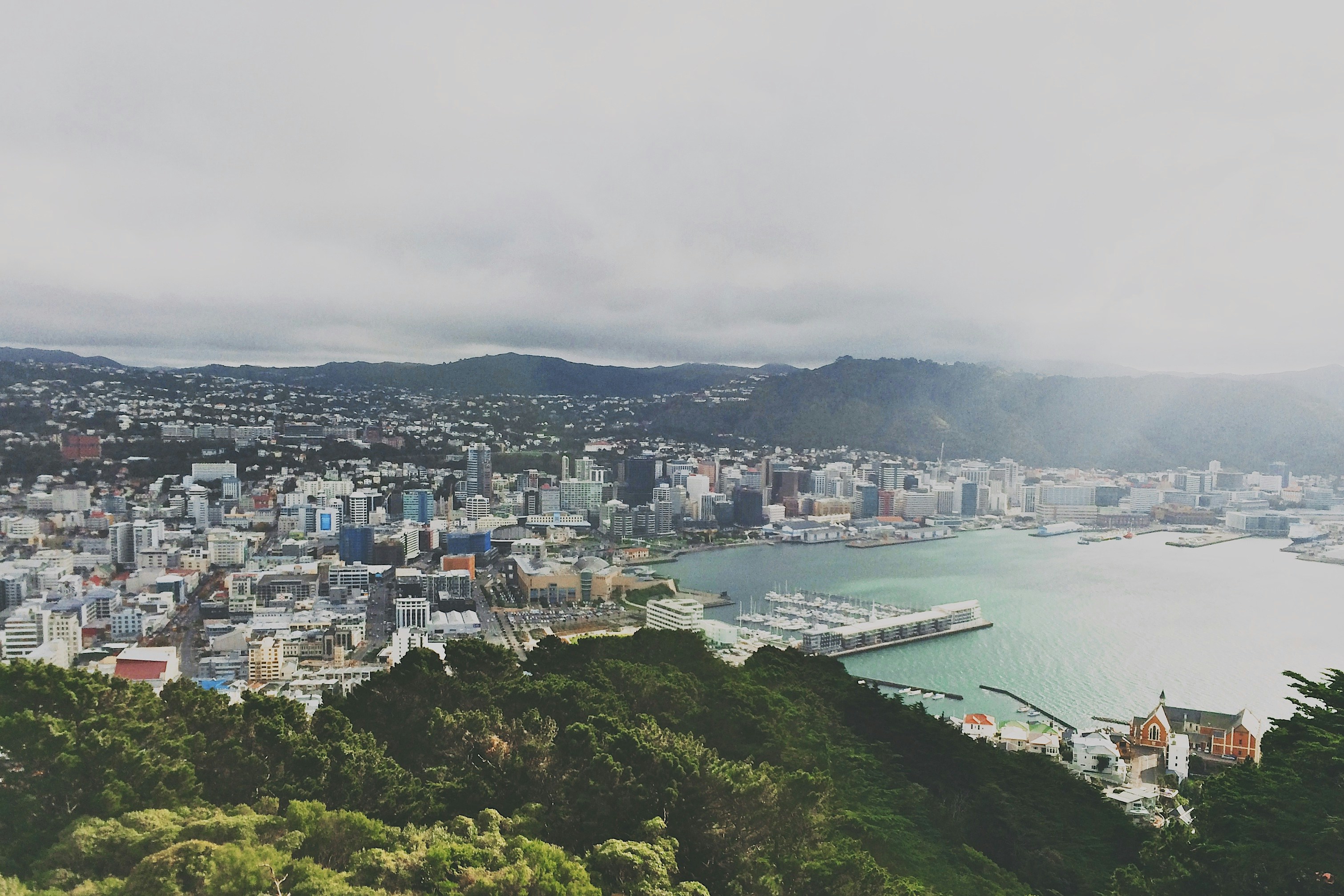 Wellington regional hub